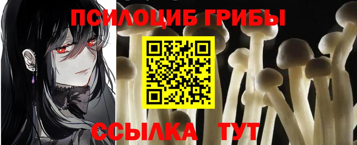 Галлюциногенные грибы MAGIC MUSHROOMS  Вход с VPN  наркошоп  Томск 